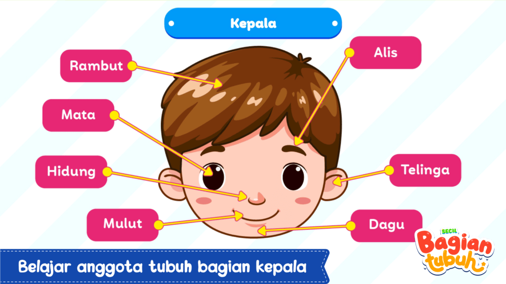 Screenshot Belajar Bagian Tubuh + Suara 3